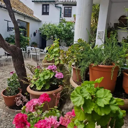 Hotel Rural Oliva Comares
