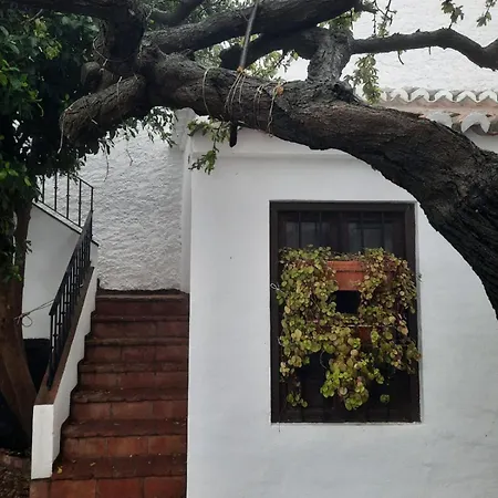 Hotel Rural Oliva