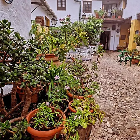 Hotel Rural Oliva Comares